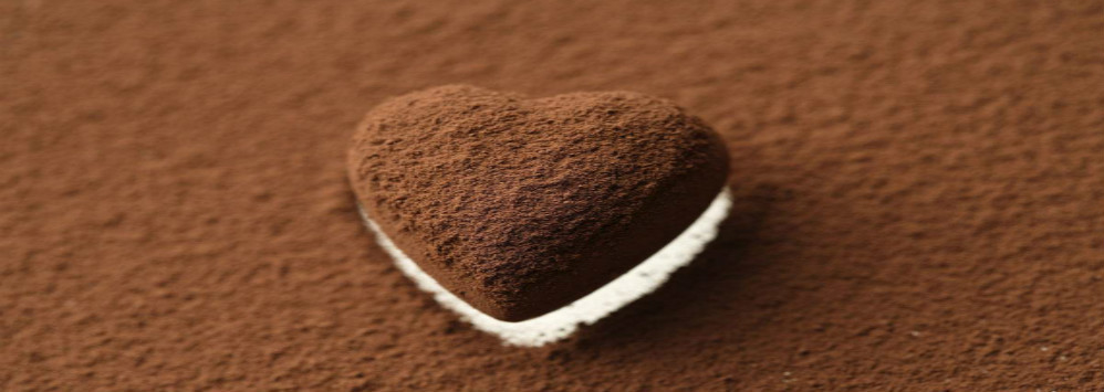 quality Alkalized Cocoa Powder Service